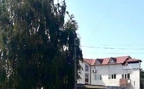 Квартира